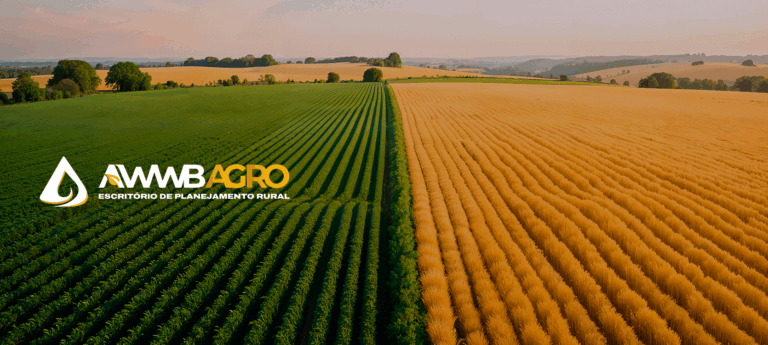 Relatório Técnico sobre o Tratamento Fiscal de Juros e Variação Cambial no Regime do Lucro Real - capa